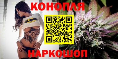 мдпв Донской